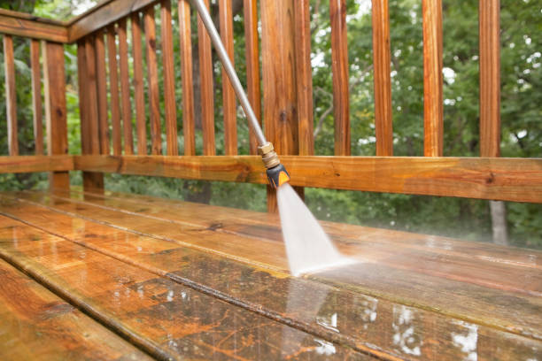 Best Gutter Cleaning  in Cedar Creek, TX